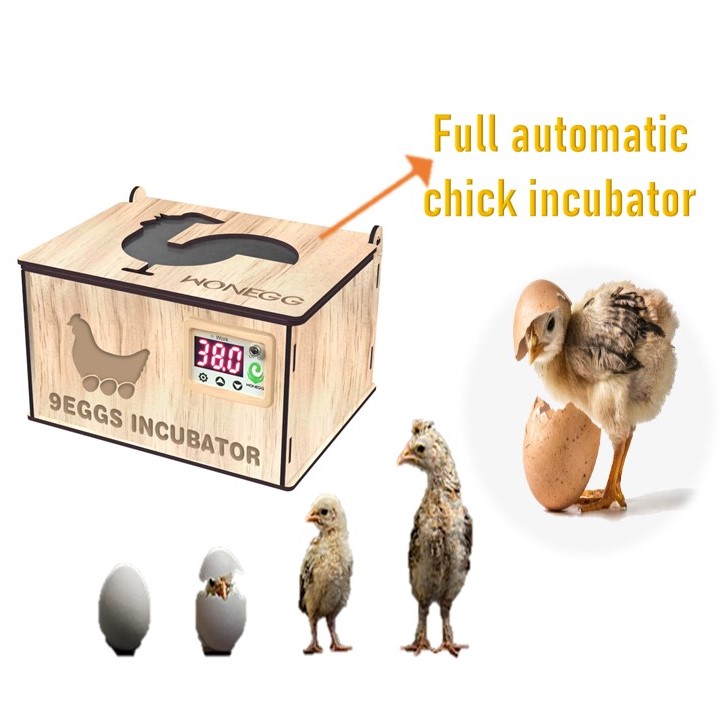 Egg incubator for hatching eggs, automatic temperature control, automatic flipping of eggs, temperature display, humidity display, 9 eggs