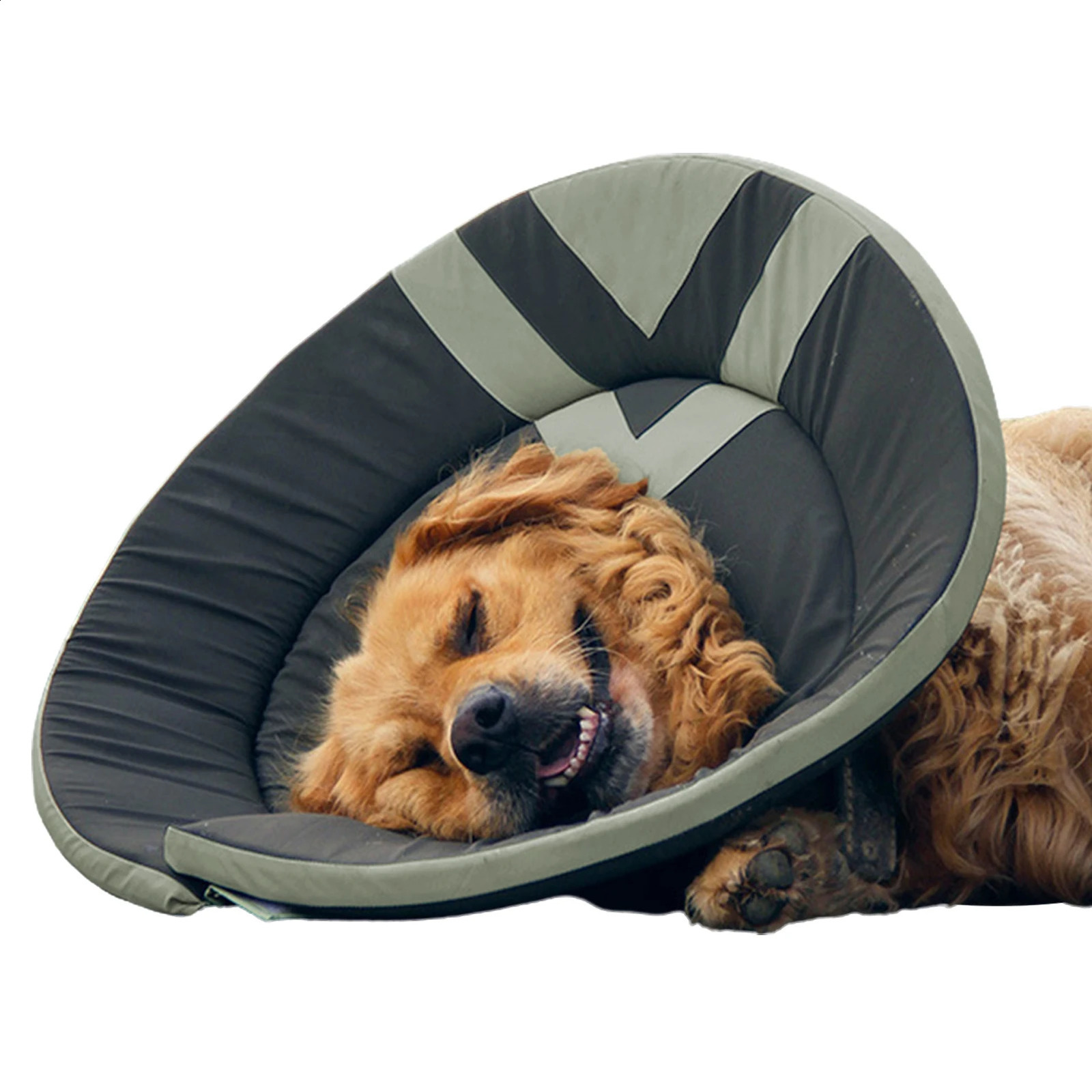 2026 New Anti-Lick Anti-Bite Cat Health Pet Supplies Wound Healing Elizabethan Neck Cone Recovery Dog Collar Protection Cover 240801 Free Shipping
