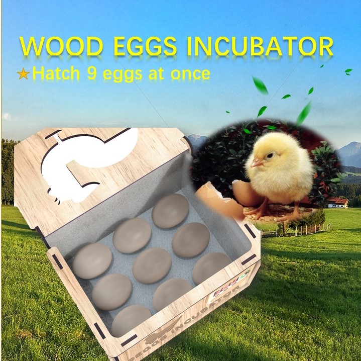 Egg incubator for hatching eggs, automatic temperature control, automatic flipping of eggs, temperature display, humidity display, 9 eggs