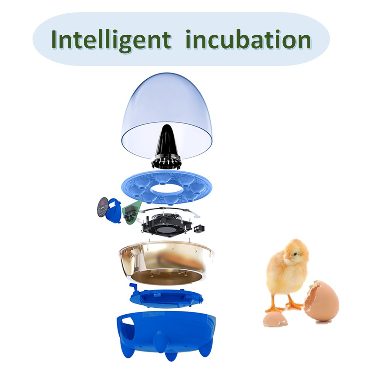 Egg incubator for hatching eggs, automatic temperature control, automatic flipping of eggs, temperature display