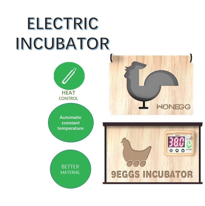 Egg incubator for hatching eggs, automatic temperature control, automatic flipping of eggs, temperature display, humidity display, 9 eggs