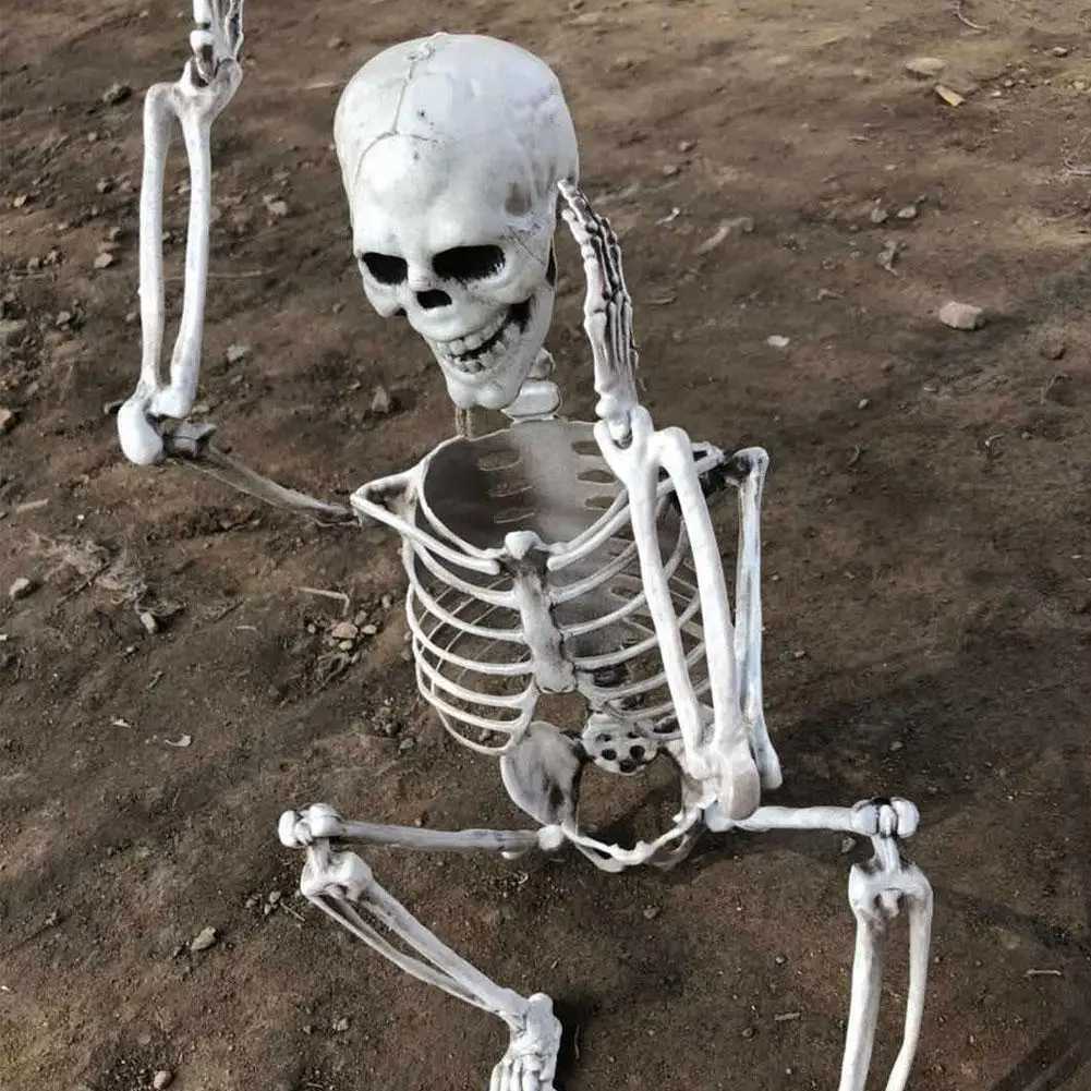 Halloween Skeleton Full Body Realistic Human Bones with Posable Joints for Halloween Pose Skeleton Prop Decoration 70cm Y240801