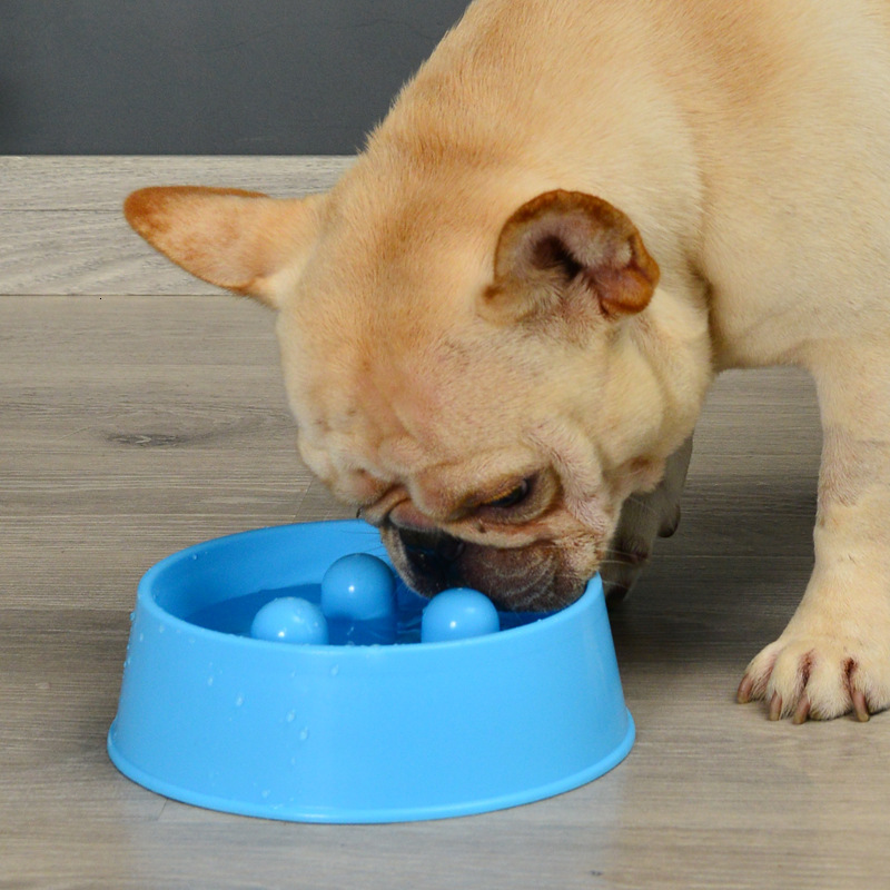 Raised Edged Slow Eating Pet Bowl Safe & Comfortable Mealtime Solution for Pets