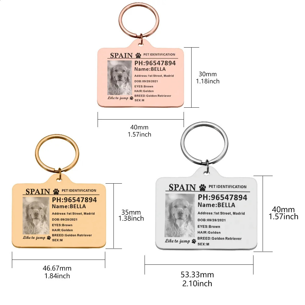 Personalized Dog ID Tag Custom Pet ID Card Identification Anti-lost Dog Cat Information Collar Stainless Steel for Puppy Plate 240801