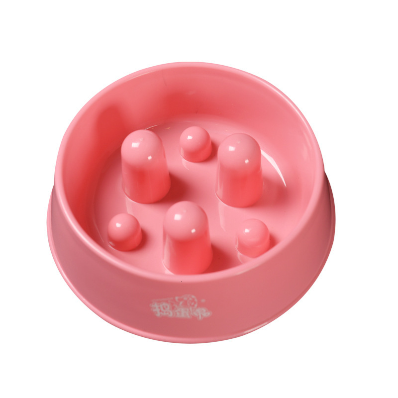 Raised Edged Slow Eating Pet Bowl Safe & Comfortable Mealtime Solution for Pets