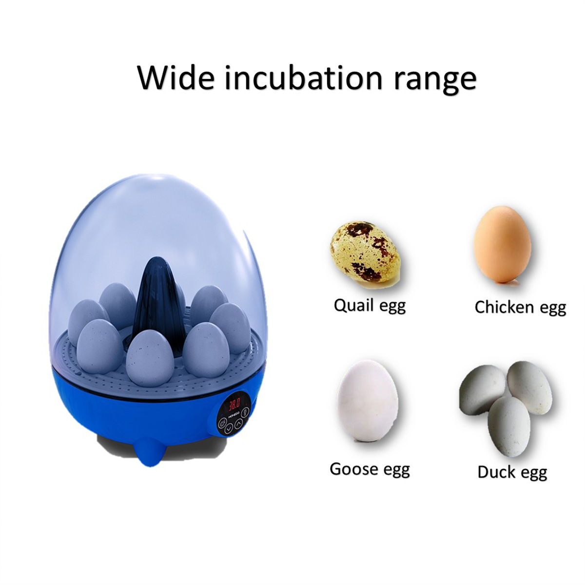 Egg incubator for hatching eggs, automatic temperature control, automatic flipping of eggs, temperature display