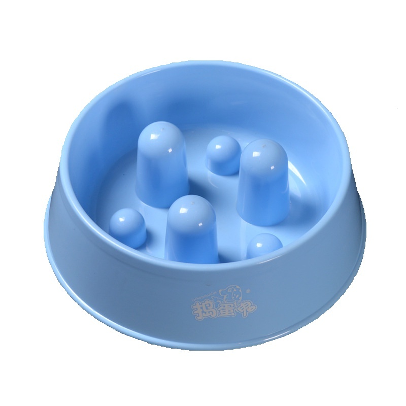 Raised Edged Slow Eating Pet Bowl Safe & Comfortable Mealtime Solution for Pets