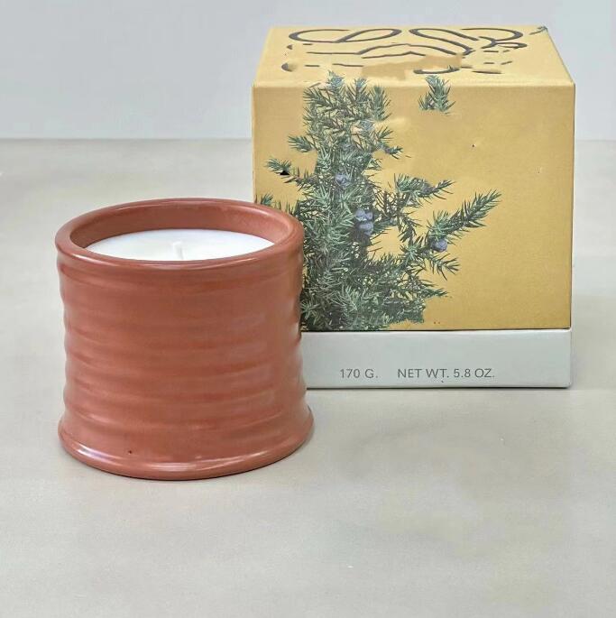 10 flavors Aromatherapy candle Tomato leaves household Indoor Fragrance decoration Oregano beetroot scented candle birthday wedding gift L260603