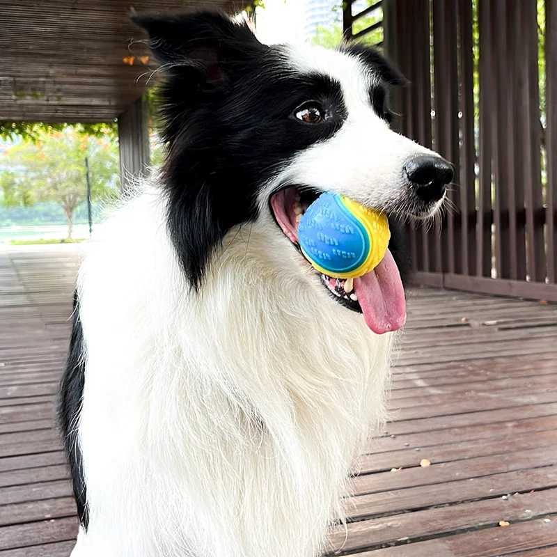 High Quality Dog interactive soft TPR teeth cleaning bite resistance squeezing dog ball toy pet product accessories T2504012