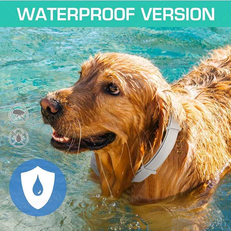New 38/70CM Pet Anti Flea Ticks Antiparasitic Cats Collar Dog Protection Retractable Collars For Puppy Cat Large Dogs Accessorie Y240803