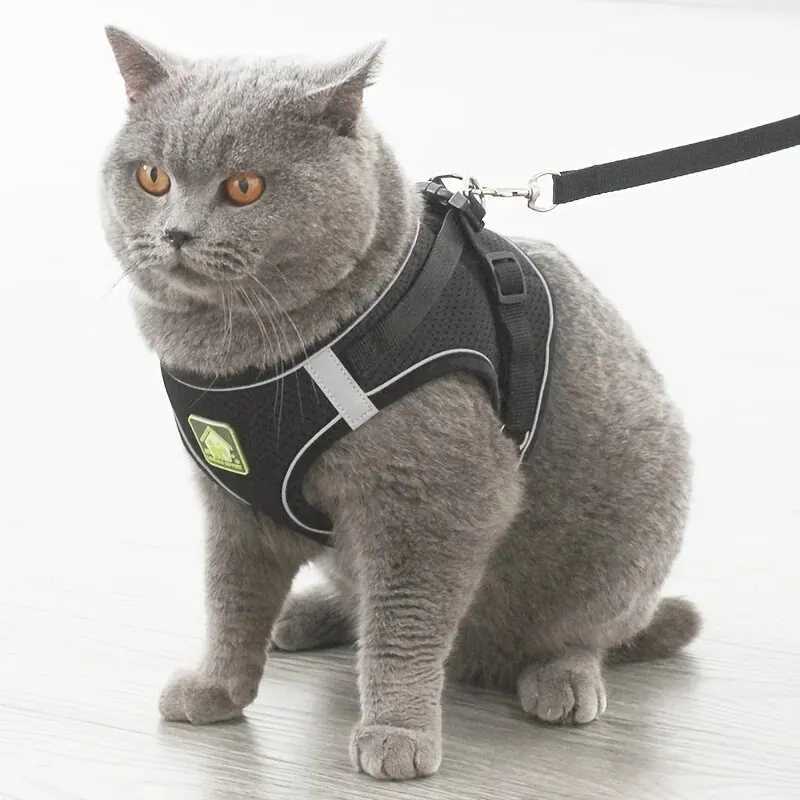Reflective Pet And Leash Set For Cat No Pull Dog Vest Harness With Breathable Mesh Y240803