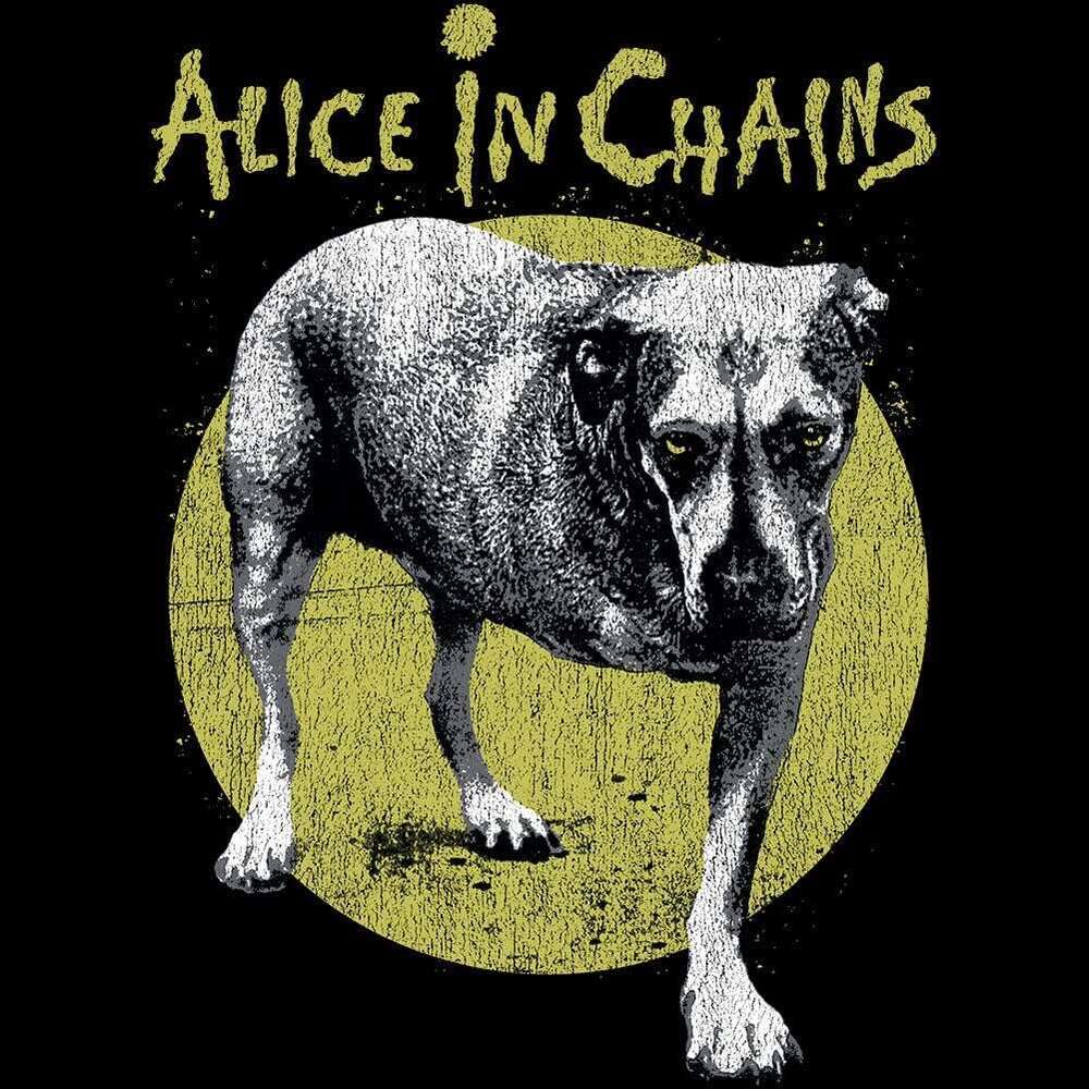 T shirt Mens Alice in Chains Shirt Self Titled Album Cover 90s Music Graphic Tees shirts tshirt Casual tops summer clothes Short sleeve