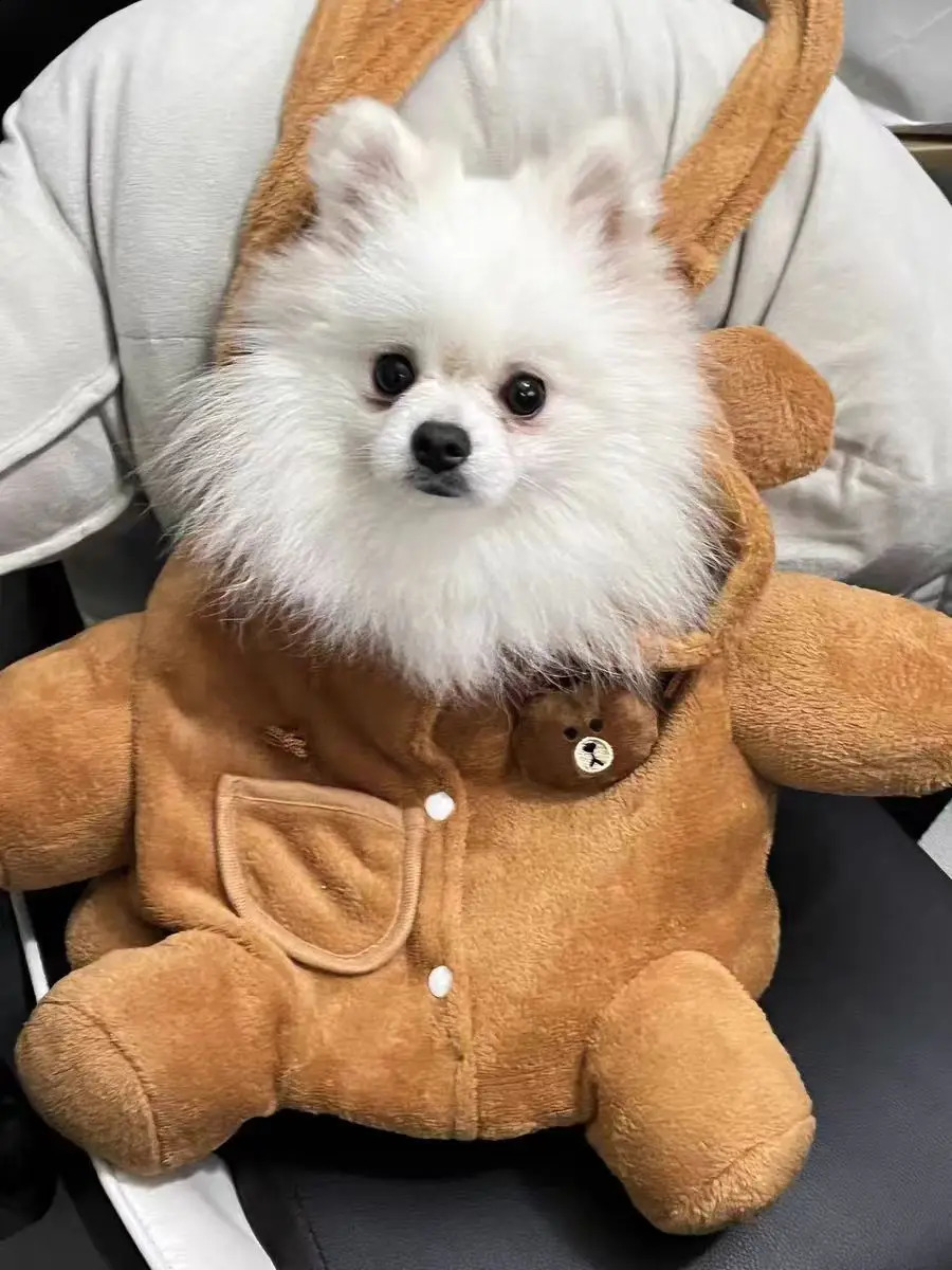 Portable Shoulder Bag Dog Bag Cartoon Kawaii Shoulder Bag Winter Outing Bag Warm Windproof Pet Products 240805