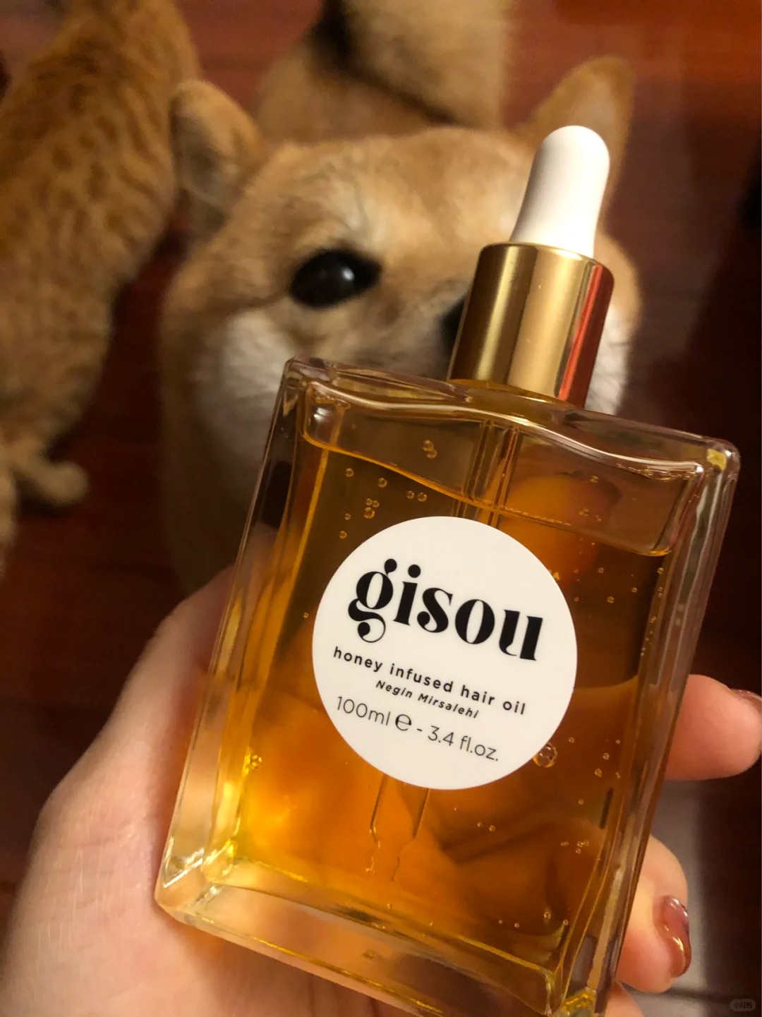 Gisou By Negin Mirsalehi Honey Infused 50ml essence Oil Hair Care Products