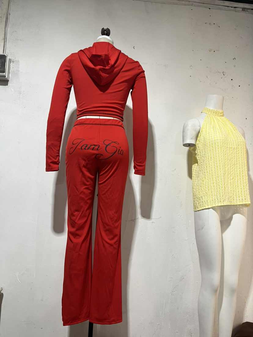 Designer 2-Piece Tracksuit: Flared Pants, Zip-Up Top - Spring Collection