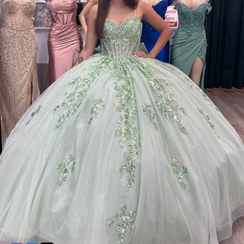 Mint Green Quinceanera Dresses Princess Ball Gown Sequin Applique Lace Bead Tull Birthday Party Prom Vestido De 15 Anos Sweet 16 Dress