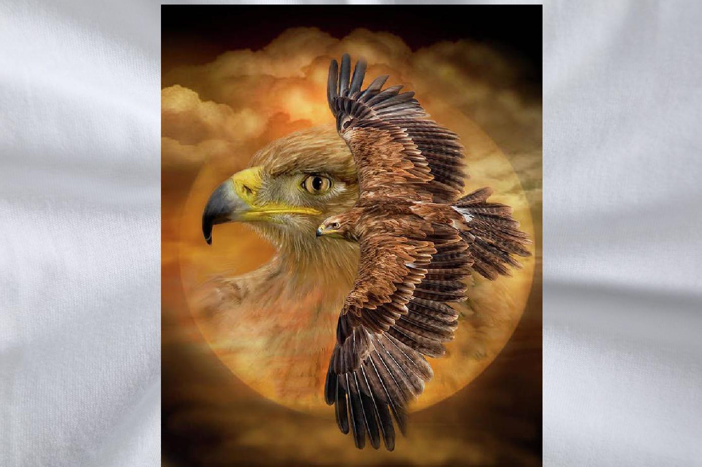 Fashion New Men T Shirts 230g Cotton eagle Summer Casual Top Tees O Neck Short Sleeves Cool Men Clothes T-Shirt Oversized 4XL