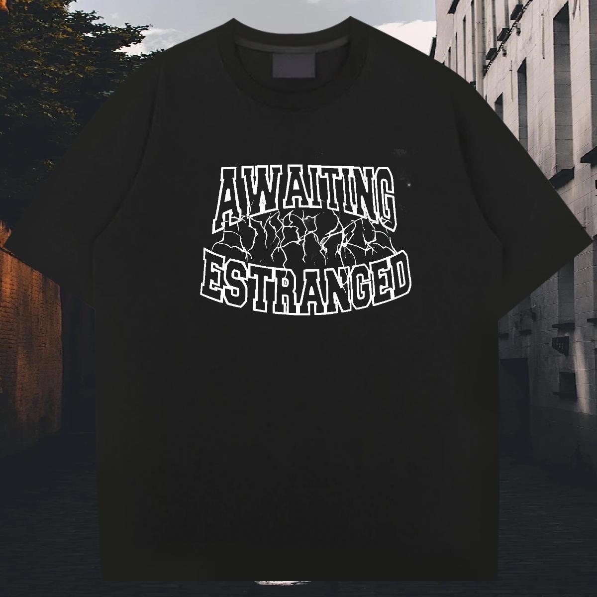 Classic Men Clothes T-Shirt 230g Cotton Daily Outfit letter DIY Logo Oversized Round Neck Short Sleeve New Designer T shirt Clothings