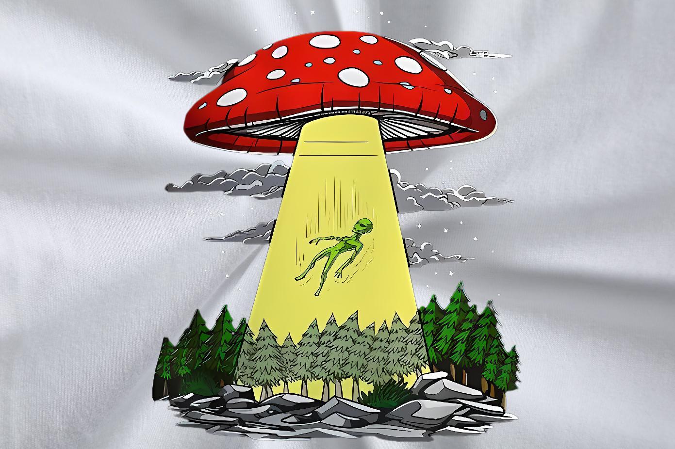 2024 T-Shirts 100% Cotton 230g mushroom Summer Casual Tshirts Breathable Wholesale Men Clothes T-Shirt Floral Print