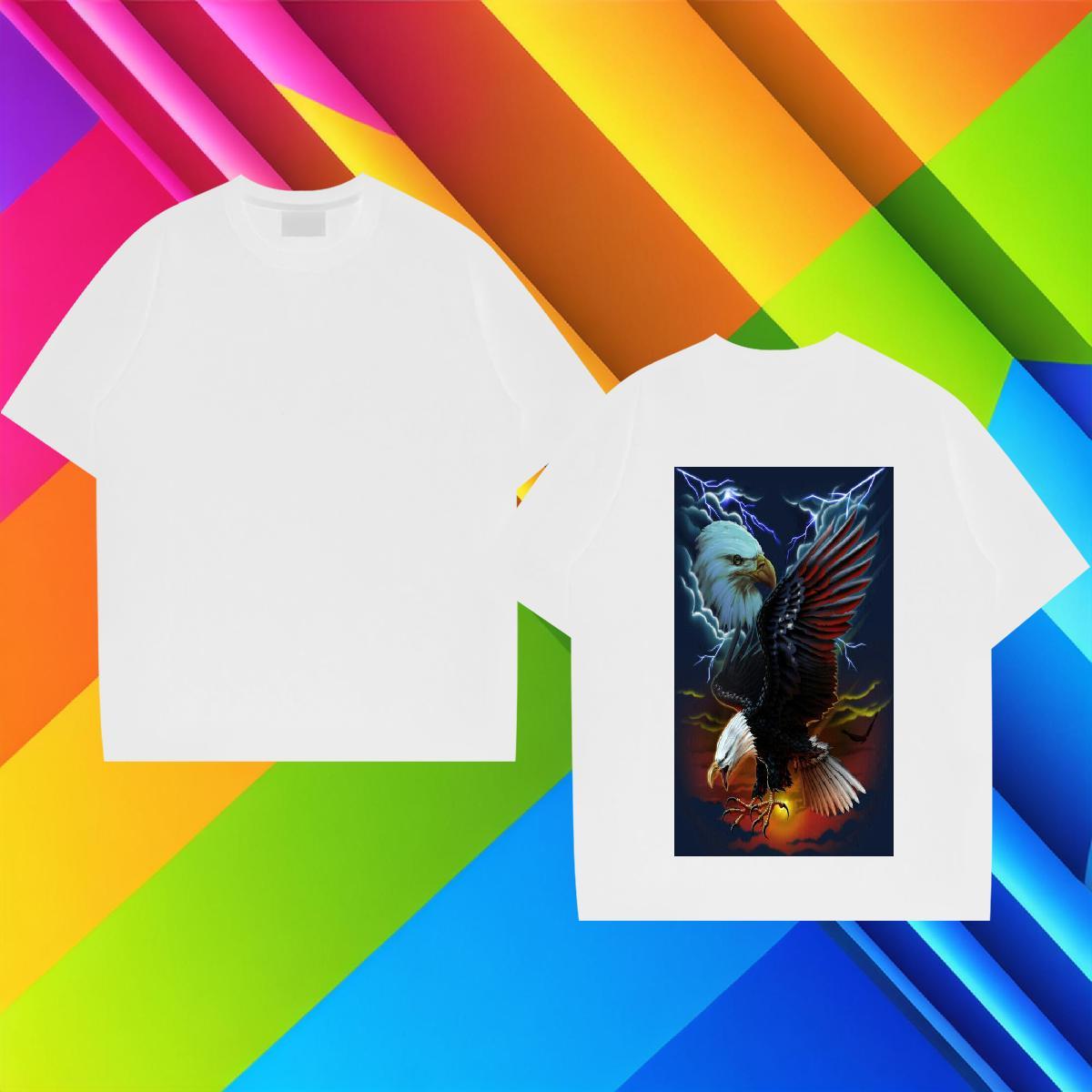 Brand Men Tees 230g Pure Cotton eagle Man T Shirts Sport O Neck Short Sleeves DIY Printed 2024 Summer Tops Shirt