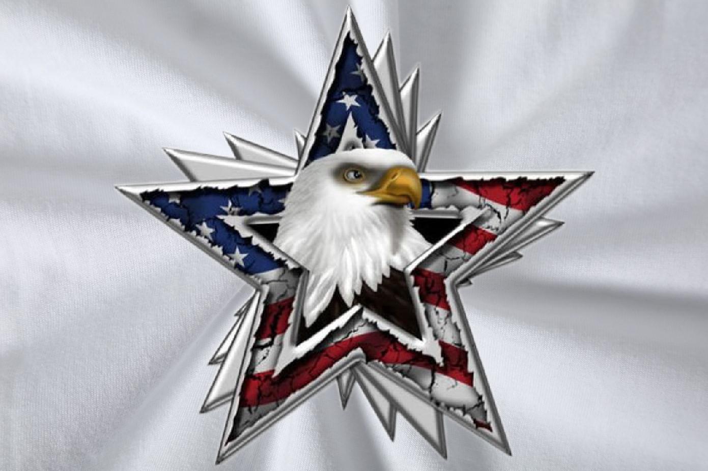 Free Shipping T-Shirts for Men 230g 100% Cotton eagle Home Outdoor Tops Short Sleeve O-Neck Cool Design Men Tshirts Custom Big Size