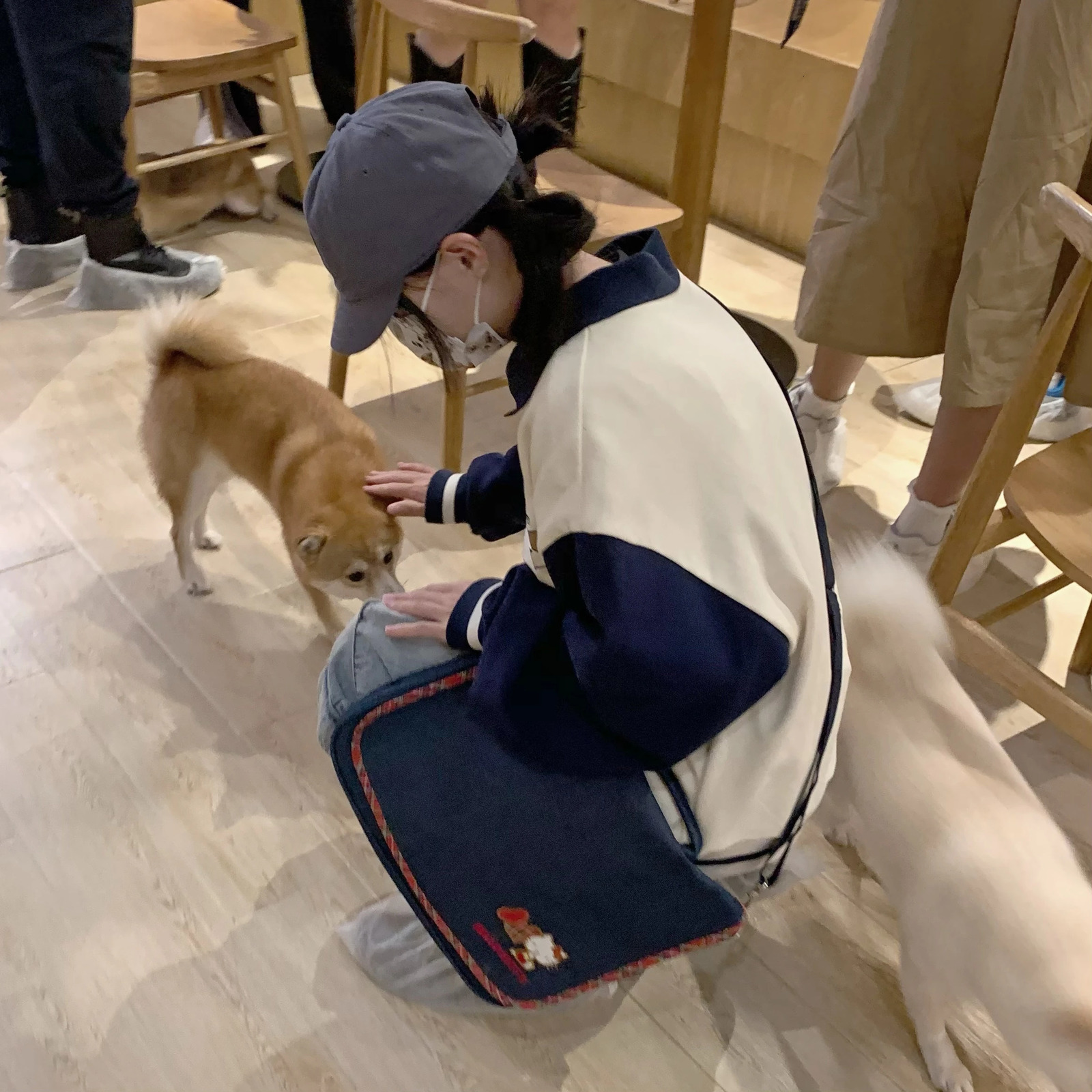 Embroidered puppy polo shirt for women thick velvet oversized sweater autumn Y2K Harajuku warm long sleeved T-shirt for teenagers 240827