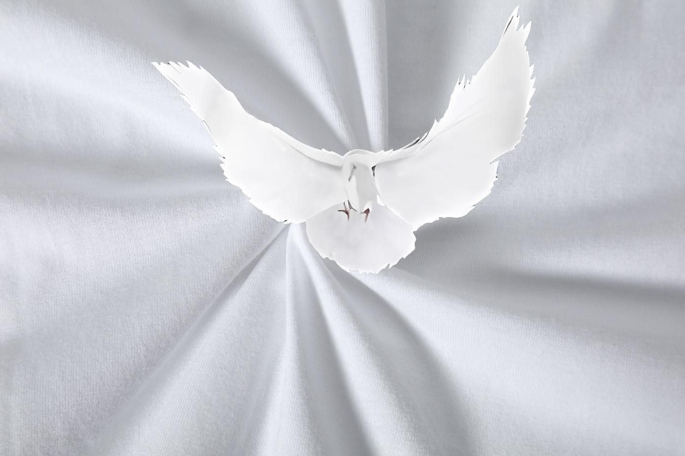 Comfortable Tshirt for Man Woman 100% Cotton 230g Casual Beach eagle Floral Print Short Sleeve Soft DIY T Shirt For Man Tee Shirt