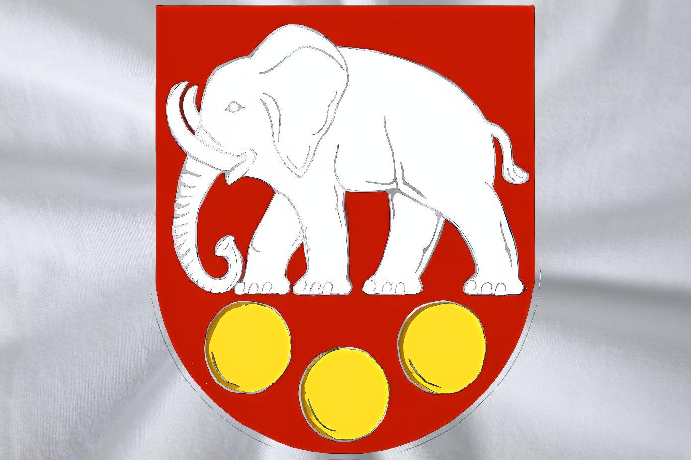 Free Shipping Men Tshirts 230g Pure Cotton Street Casual elephant Oversized O Neck Short Sleeves Customized T Shirt For Man Tee Shirt