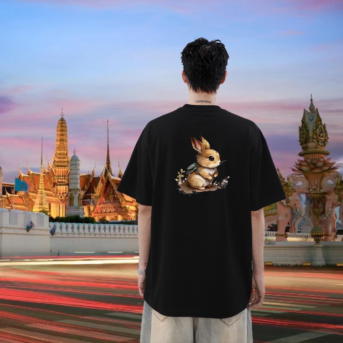 Free Shipping T Shirt For Man 230g Pure Cotton rabbit Daily Wear Tops Tees O-Neck Short Sleeve High Quality Mens Tshirts DIY Printed