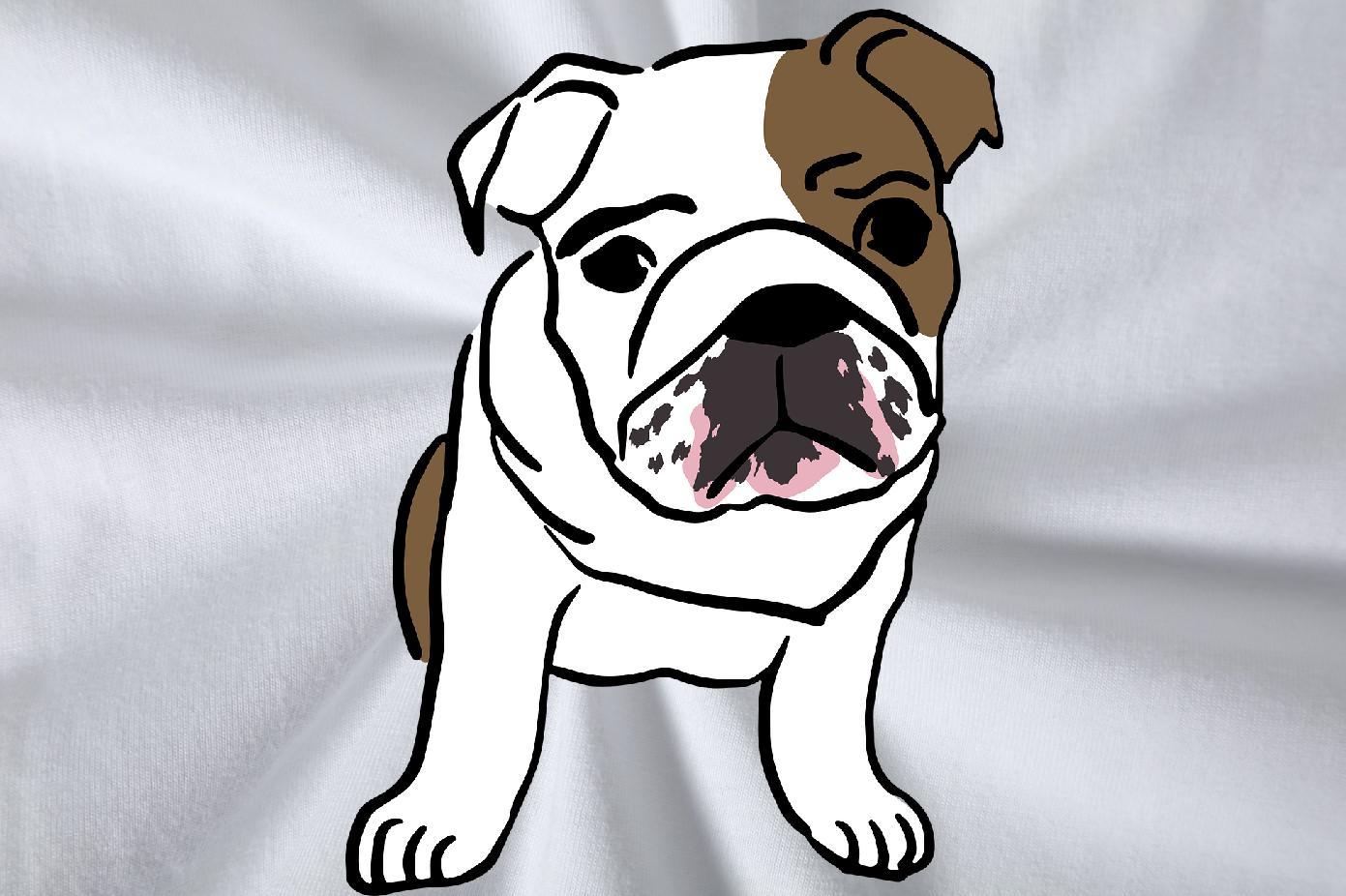 2024 Designer Men T Shirts 230g Cotton Dog Street Tops Tees Breathable High Quality Men Clothes T-Shirt Custom Printed