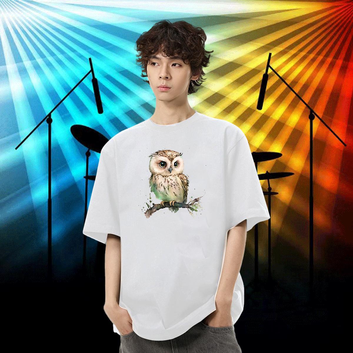 Custom Men T Shirts 100% Cotton 230g Owl Hip Hop Wear Breathable Crew Neck Loose Men Tees Plus Size Custom