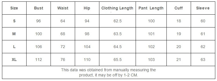 Womens Tracksuit Fashion Stripe Sports Wear Casual Long Sleeve Hoodie Sweatershirt and Pants Sport Set Two Piece Set for Women 240807