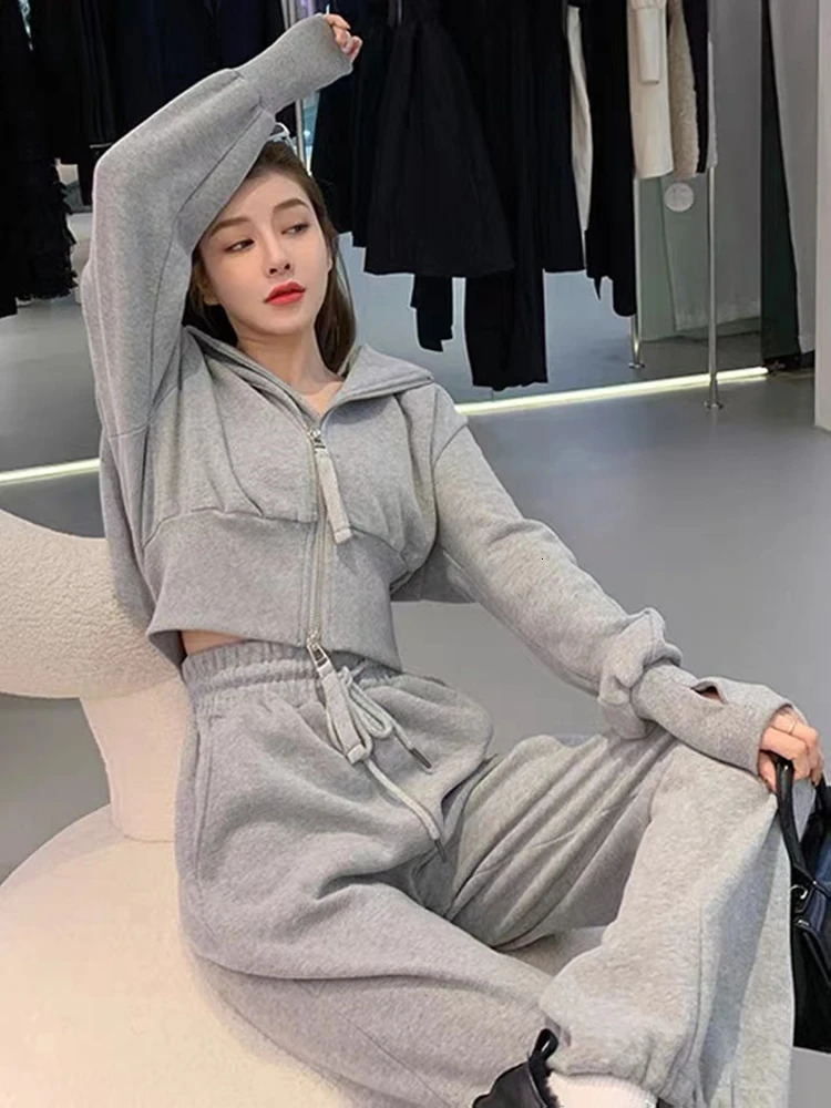 Spring Autumn Solid Color Women Sports Suit Korean Style Zippers Hooded Top And Elastic Waist Wide Leg Trousers Leisure 2pcs Set 240807