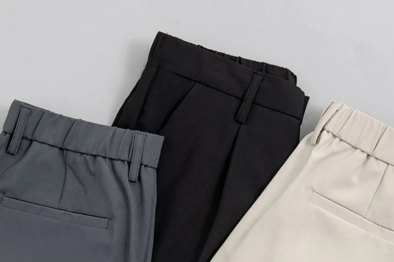 Elastic Waist Small Feet Slim Korean Style Pleated Tapered Blazer Trousers Streetwear Fashion Men Solid Color Casual Pants 240807
