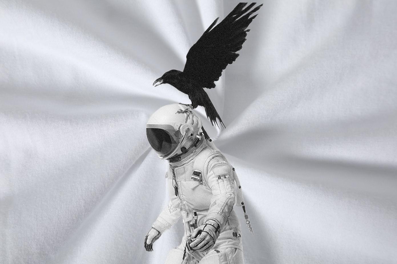 DIY Customized T-Shirts for Men eagle Clothes 230g Cotton Sport Popular Oversized 4XL Crew Neck Breathable Men Tees