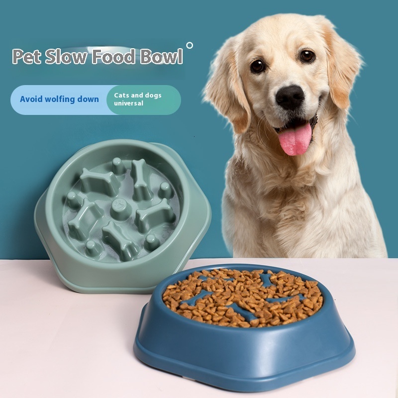 Premium Small Dog Slow Feed Bowl with Grip Design