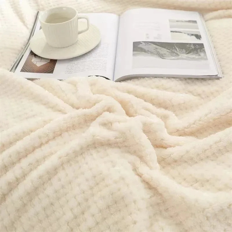 Blanket Blanke Japan Style Coral Fleece Blankets 300gsm Spring Summer Soft Fluffy Faux Fur Mink Throw Solid Sofa Cover Bedspread Plaid Blankets 240806