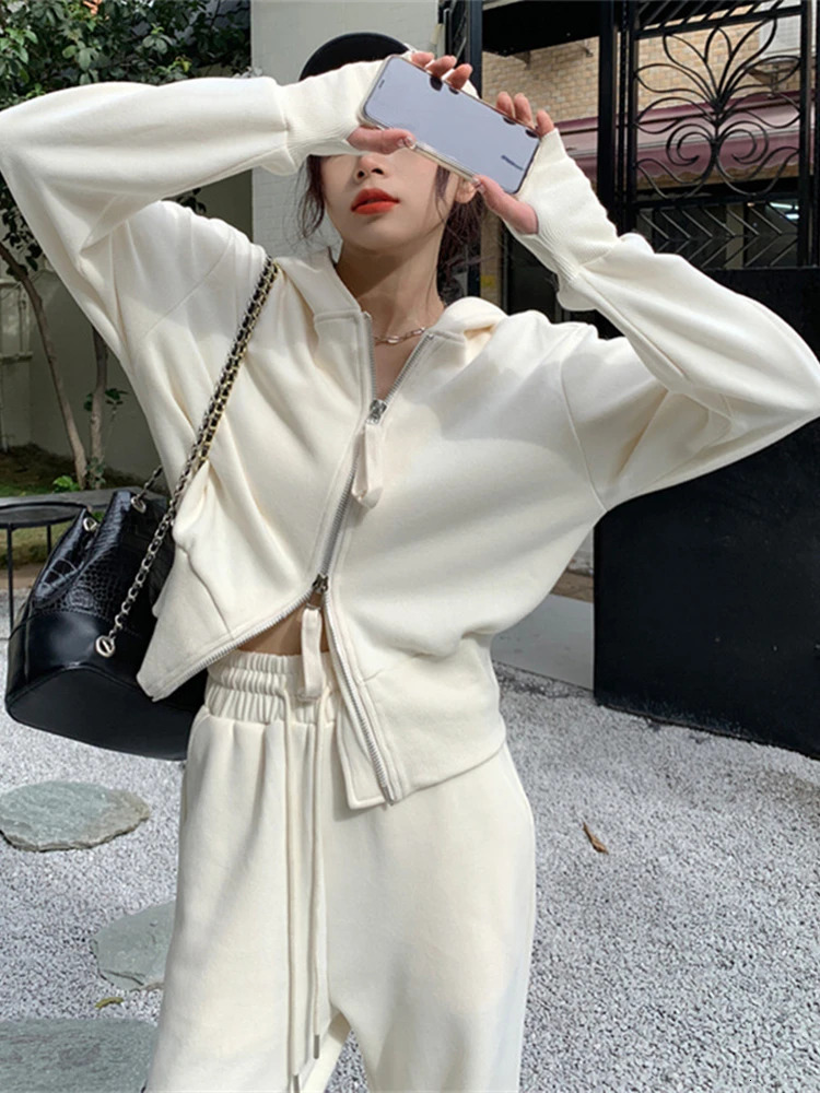 Spring Autumn Solid Color Women Sports Suit Korean Style Zippers Hooded Top And Elastic Waist Wide Leg Trousers Leisure 2pcs Set 240807