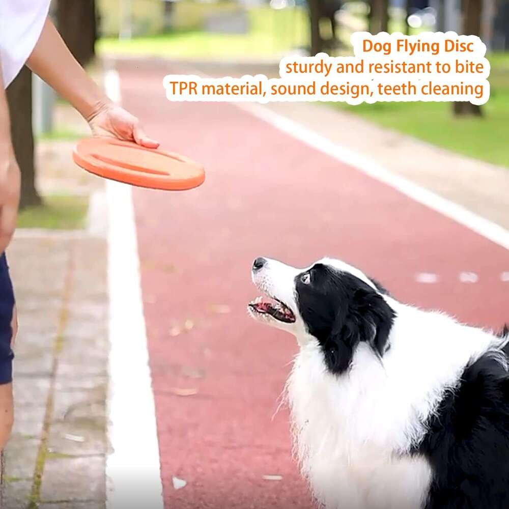 DLDER Disc Toys, Toys,Indestructible,Chew Toys Aggressive Chewers Indoor & Outdoor,Floating Water&courtyard Pool Beach Flying Toy for Medium L