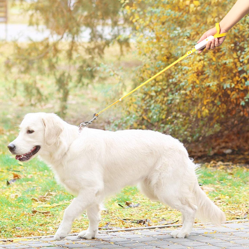 New explosion-proof dog walking rope, cat leash, buckle, retractable pet supplies