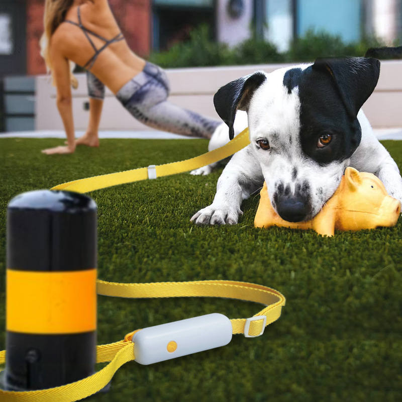 New explosion-proof dog walking rope, cat leash, buckle, retractable pet supplies