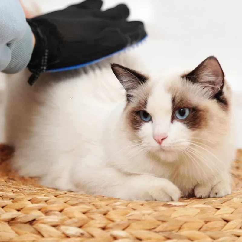 2026 New Brush Petting Grooming 180 Needles Clean Massage Gloves Things For Pet Cats And Dogs Remove Floating Hair 240807 Free Shipping
