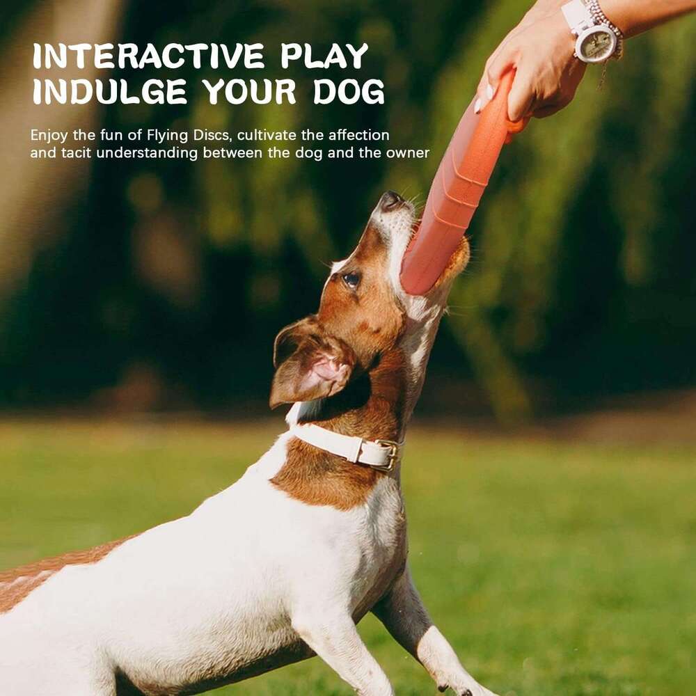 DLDER Disc Toys, Toys,Indestructible,Chew Toys Aggressive Chewers Indoor & Outdoor,Floating Water&courtyard Pool Beach Flying Toy for Medium L