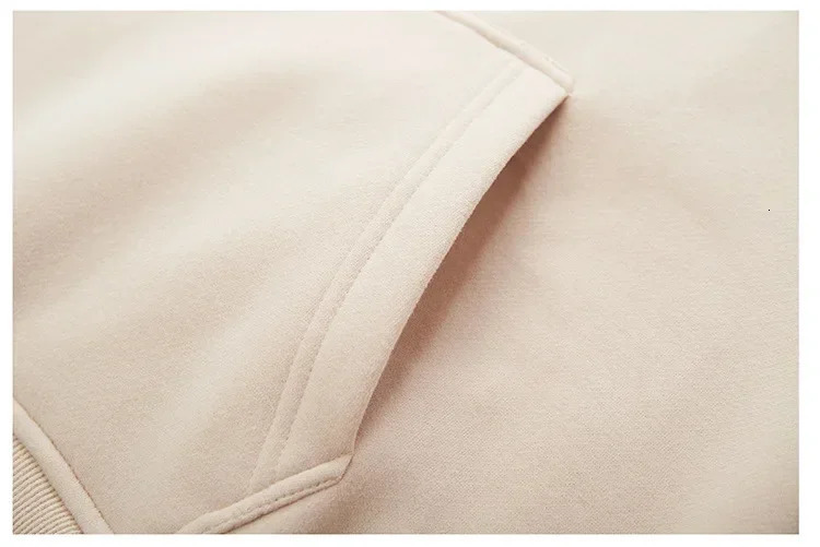 Casual Hooded Hoodies Japanese Girl Student Fashion Sweatshirts Thick Spring Autumn Harajuku Loose Hoodie Knit Pullovers 240812