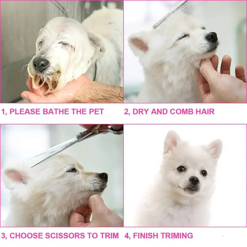 Premium Coated Dog Grooming Scissors with Safety Round Tips Professional Grade Kit for Precise and Safe Trimming 240808
