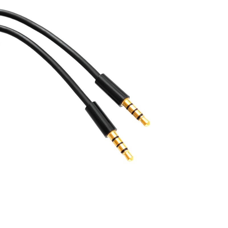 With A Microphone T… - image