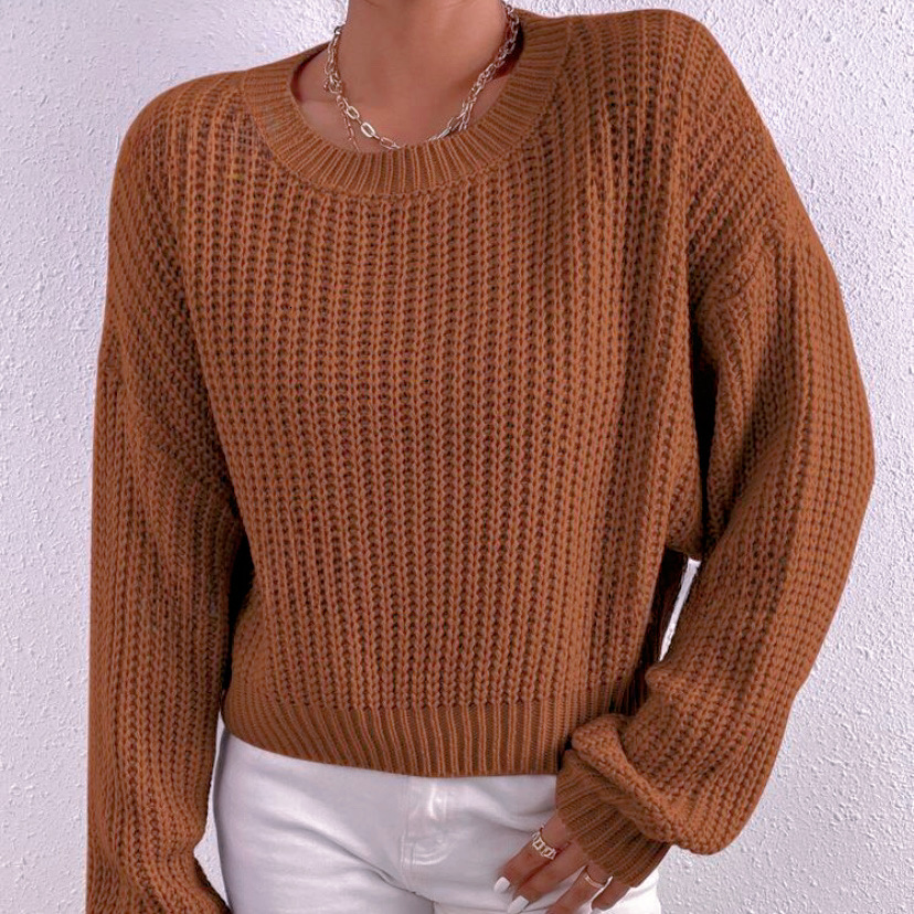 Autumn/Winter New Women's Loose Short Hoodie Round Neck Long Sleeve Knitted Sweater dongdumaoyi