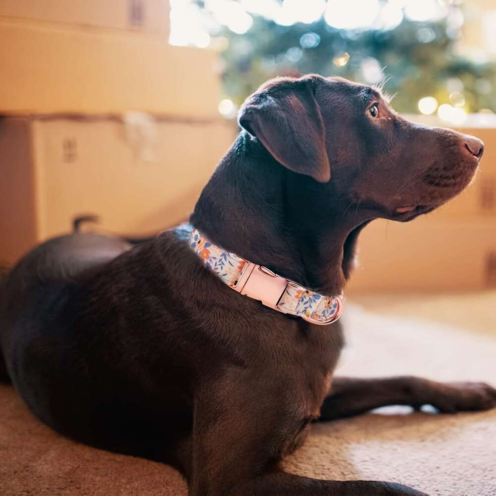 4pcs Leash Set With Bow Tie And wer Decor, ral Pattern Adjustable Collar Dog Traction Rope