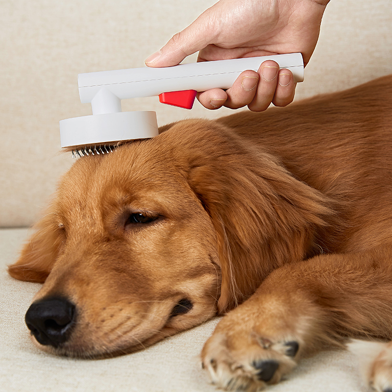 Dual Purpose Pet Hair Remover and Massager - Stainless Steel Teeth and Soft Bristles for Pets