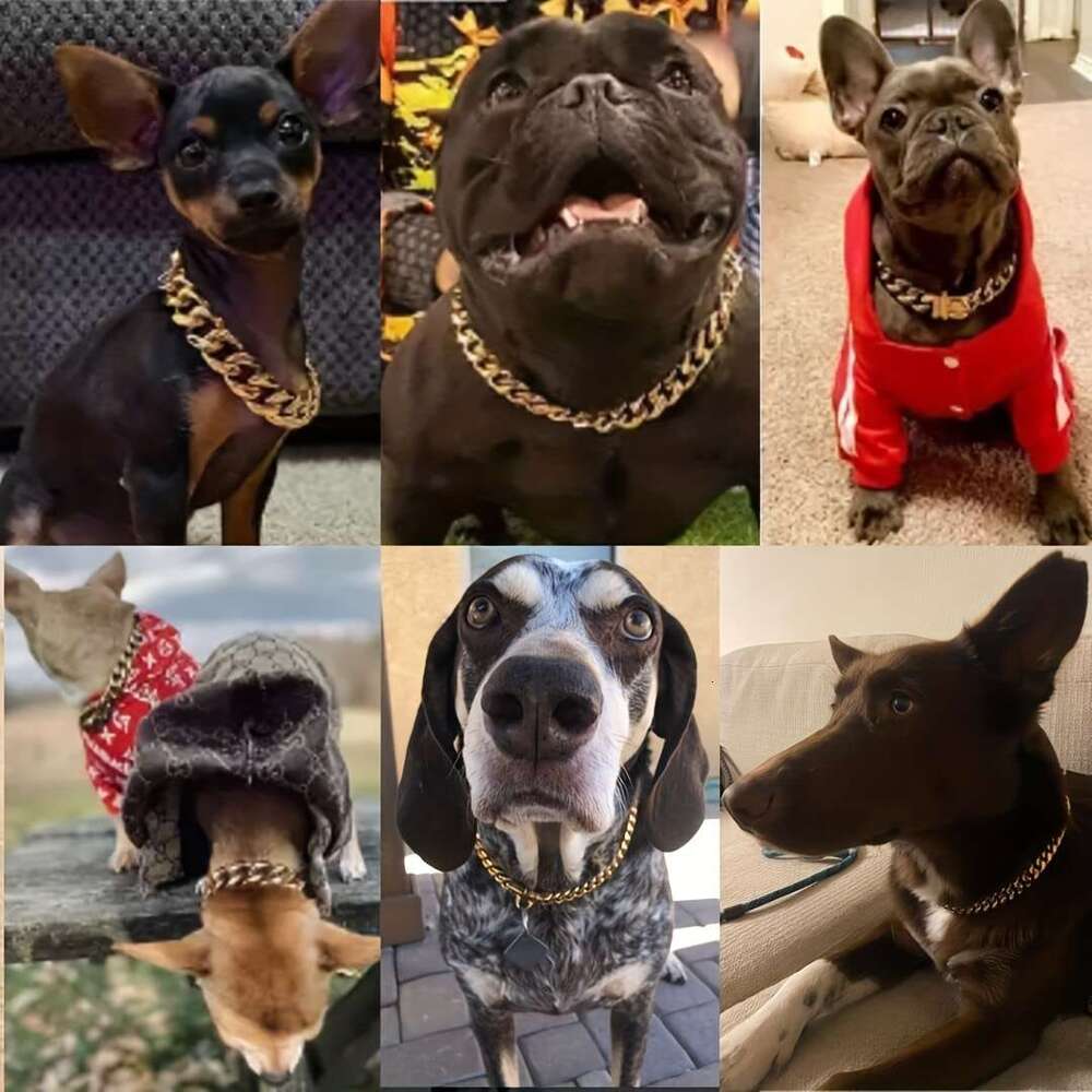Heavy Duty Waterproof Cuban k Dog Collar with Stainless Steel Buckle - Durable Pet Necklace for Large Breeds